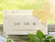 結婚式手作りペーパーアイテム バタフライ